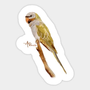 Derbyan Parakeet Sticker